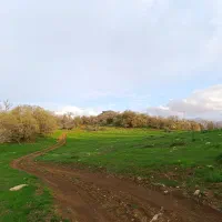 کارگر چوپان
