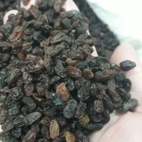 کشمش فروشی عمده خرده