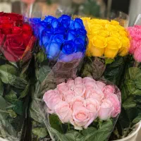 گل رز فقط شاخه ای ۵۰