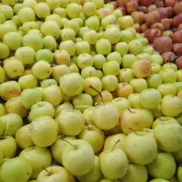 کارگر میوه فروشی
