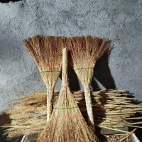 جاروی قرمز وپر بار