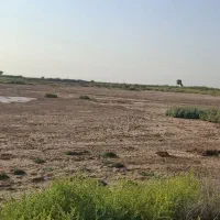 زمین کشاورزی