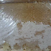 عسل طبیعی