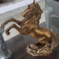 اسب مسی