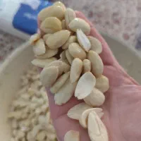 خشکبار
