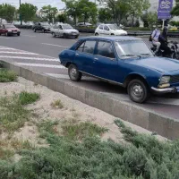 پژو ۵۰۴|خودرو کلاسیک|چهاردانگه (تهران), |دیوار
