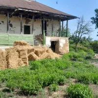 کلنگی ۷۵۰متری سندششدانگ کوهستان بالا پرهسر