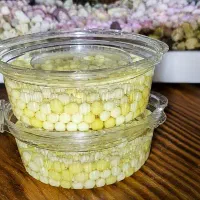 کلاژن برای جوانسازی پوست.خاویار حلزون