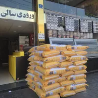 پیتزا زن سوخاری زن و کارگر ساده