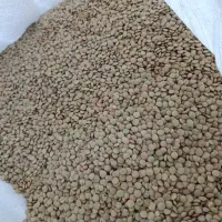 عدس|خوردنی و آشامیدنی|شباب, |دیوار