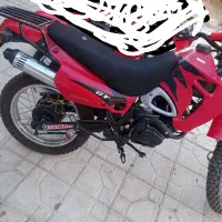 تریل و مینی تریل