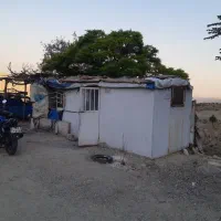 کانکس