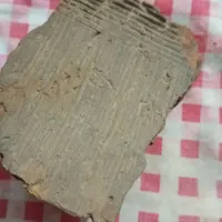 فسیل بزرگ وکاملا سالم از زمین شناسی