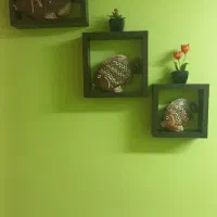 باکس دکوری و پرده ریسه ای