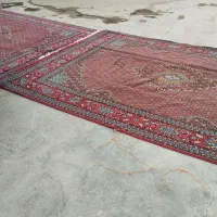 فرش سالم مو تمیز