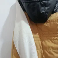 پافر