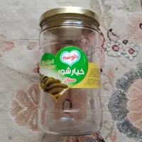 تعدادی شیشه خیارشوری