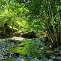 تور گردشگری ابرده شاندیز