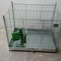 قفس کبوتر