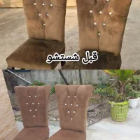 مبلشویی|خدمات نظافت|رشت, کاکتوس|دیوار