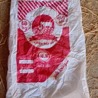 گونی