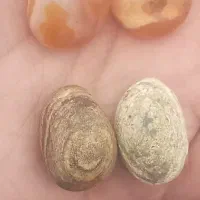 مهره عقیق یمنی اصل موکلدار،مهره گبری قدیمی