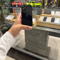 12mini