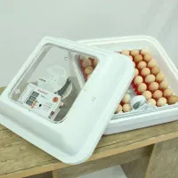 دستگاه جوجه کشی حرفه ای - دستگاه جوجه کشی خانگی