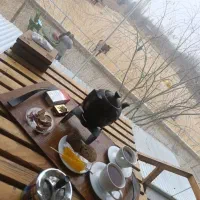 نیرو باریستا و آشپز فست فود و ظرفشور،سالن دار