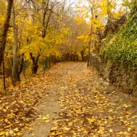 باغ رویایی 1500 متری در لواسان