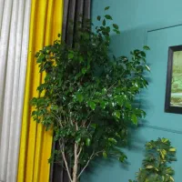 بنجامین ابلاق