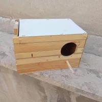 لانه پرنده عروس هلندی درب کشویی