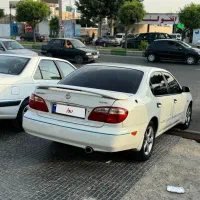 ماکسیما درجه یک