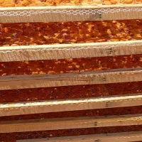 زردالو قیصی