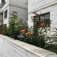 ویلایی500متری دو نبش ملک اباد