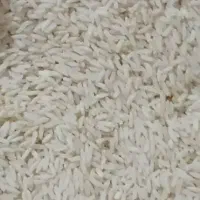برنج هاشمی