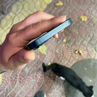 iPhone 13|موبایل|بجنورد, |دیوار