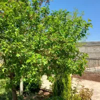 زمین-داران-و-سهام-داران-در-شهرک-ویلایی-زاک-ماریان