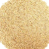 ارزن
