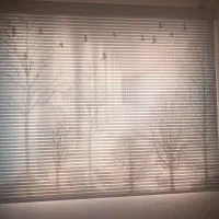 پرده زبرا