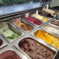 استخدام در ابمیوه بستنی