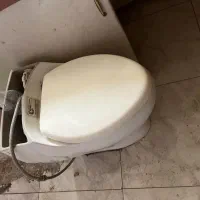 فرنگی