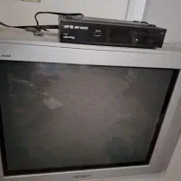 تلوزیون