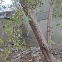 فروش خونه قدیمی درگهان موقعیت عالی