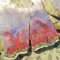 سنگ شجرپاییزه بهاره هفت رنگ