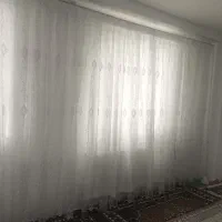 همخونه میشم
