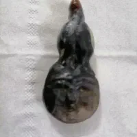 فروش سنگ خاص