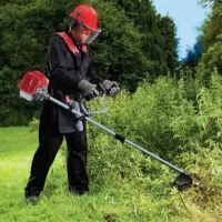 علف زنی و بوته تمشک زنی