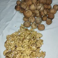 گردو|خوردنی و آشامیدنی|قدس, شهرقدس|دیوار