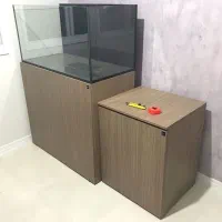 آکواریوم ریملس